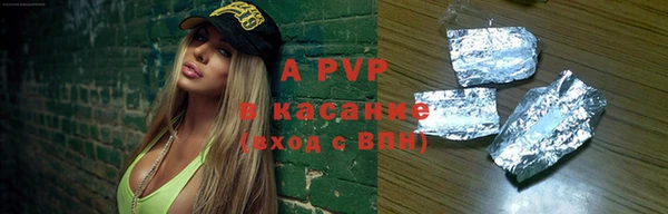 гашик Богданович