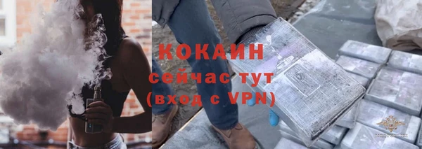 стафф Богородицк