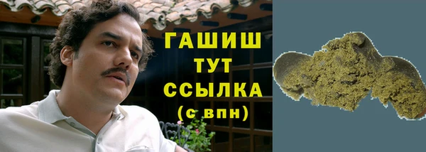 гашик Богданович