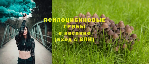 мет Верхний Тагил