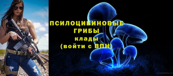 героин Бородино